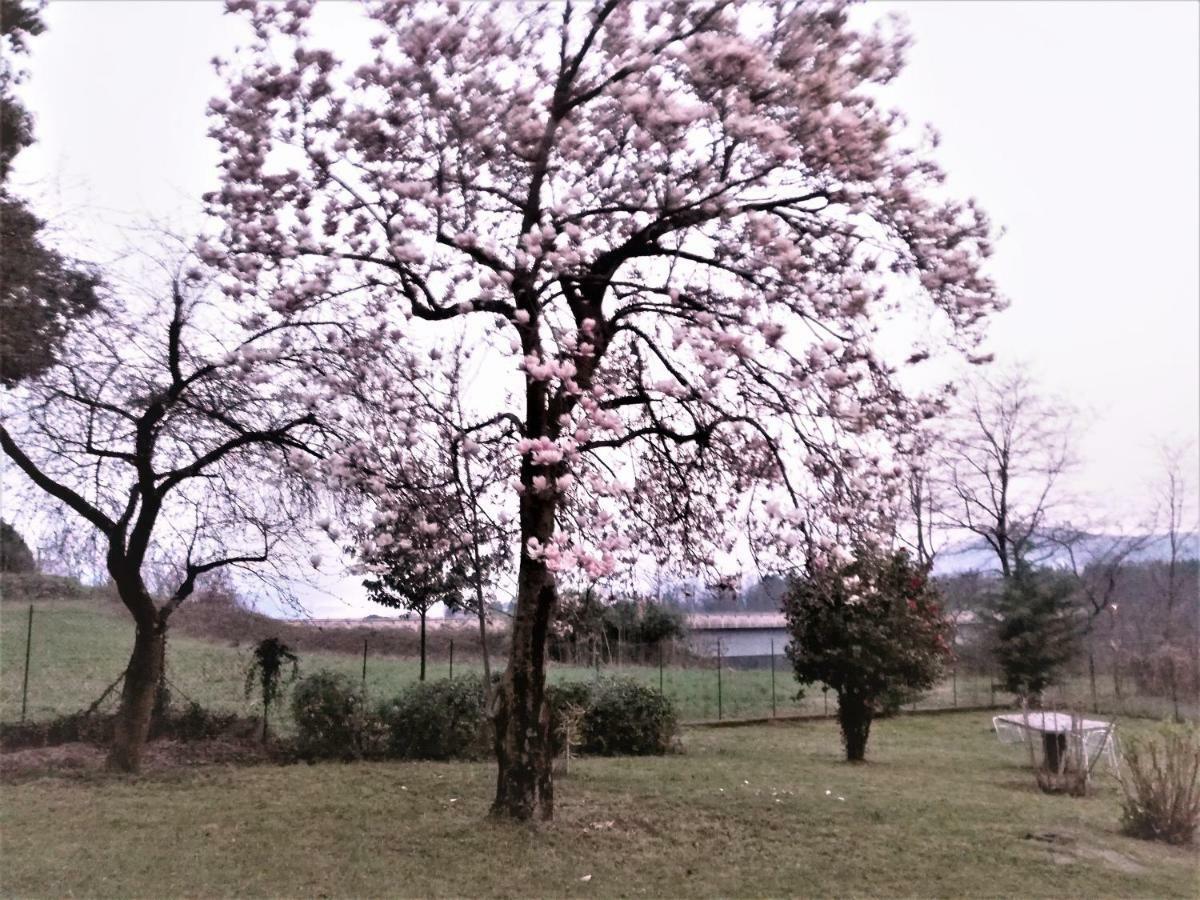 Casale Cadeloro Apartamento Nebbiuno Exterior foto